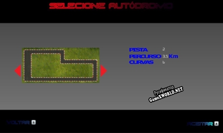 Русификатор для Race Formula X