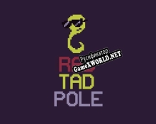 Русификатор для RAD TAD POLE