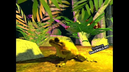 Русификатор для Rainforest Forever