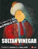 Русификатор для Sultan Vinegars Secret Salt Storage Repository