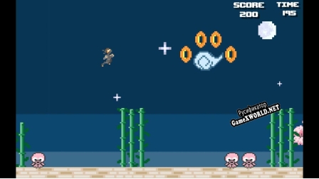 Русификатор для Super Ninja Bros