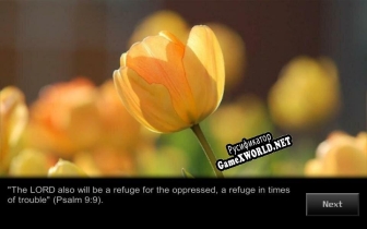 Русификатор для SUPPORT IN TROUBLE slideshow