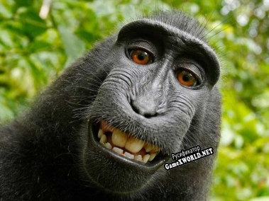 Русификатор для Swinging Monkey