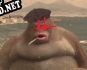 Русификатор для Teh coob DE GAIM