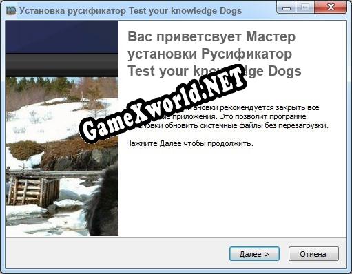 Test your knowledge Dogs полный перевод игры