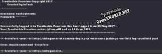 Русификатор для TrueHackie Premium