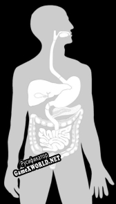 Русификатор для Ultimate Biology Quiz Digestive System (GCSE revision)