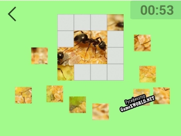 Русификатор для Ultimate Puzzles Insects