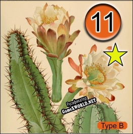 Русификатор для Verdant Arizona