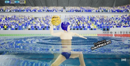 Русификатор для WaterPolo Inter Nation