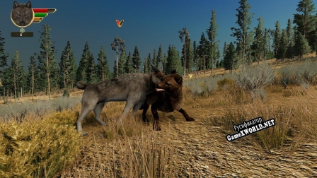Русификатор для WolfQuest Anniversary Edition