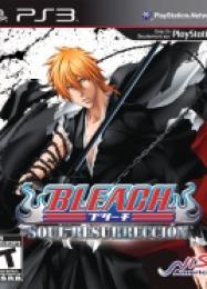 Bleach: Soul Resurreccion: Читы, Трейнер +13 [dR.oLLe]